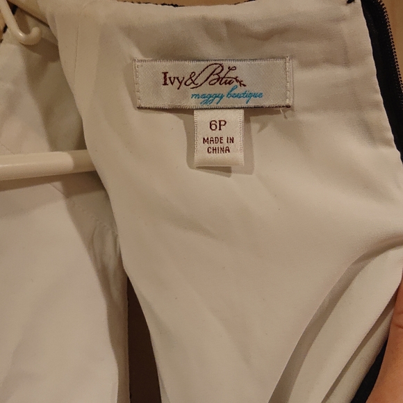 Laced Sleeveless A-line Dress - size 6P - Picture 5 of 7